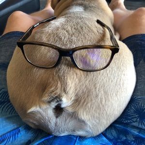 Meet your Posher, Tracy